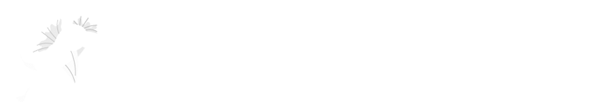 logo Natalia Re